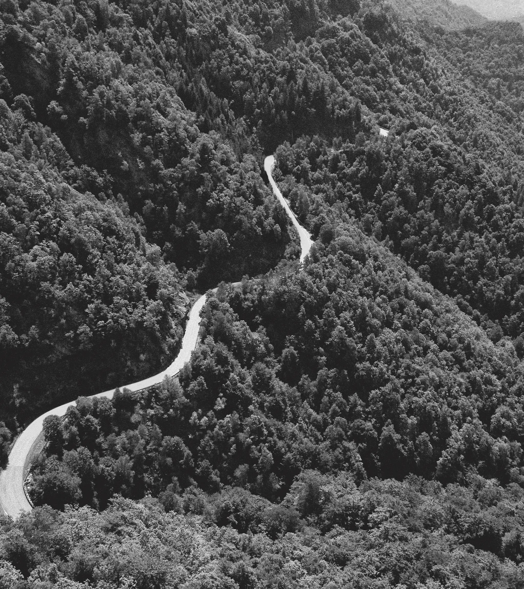 Top view of the natural landscape of Oasi Zegna.