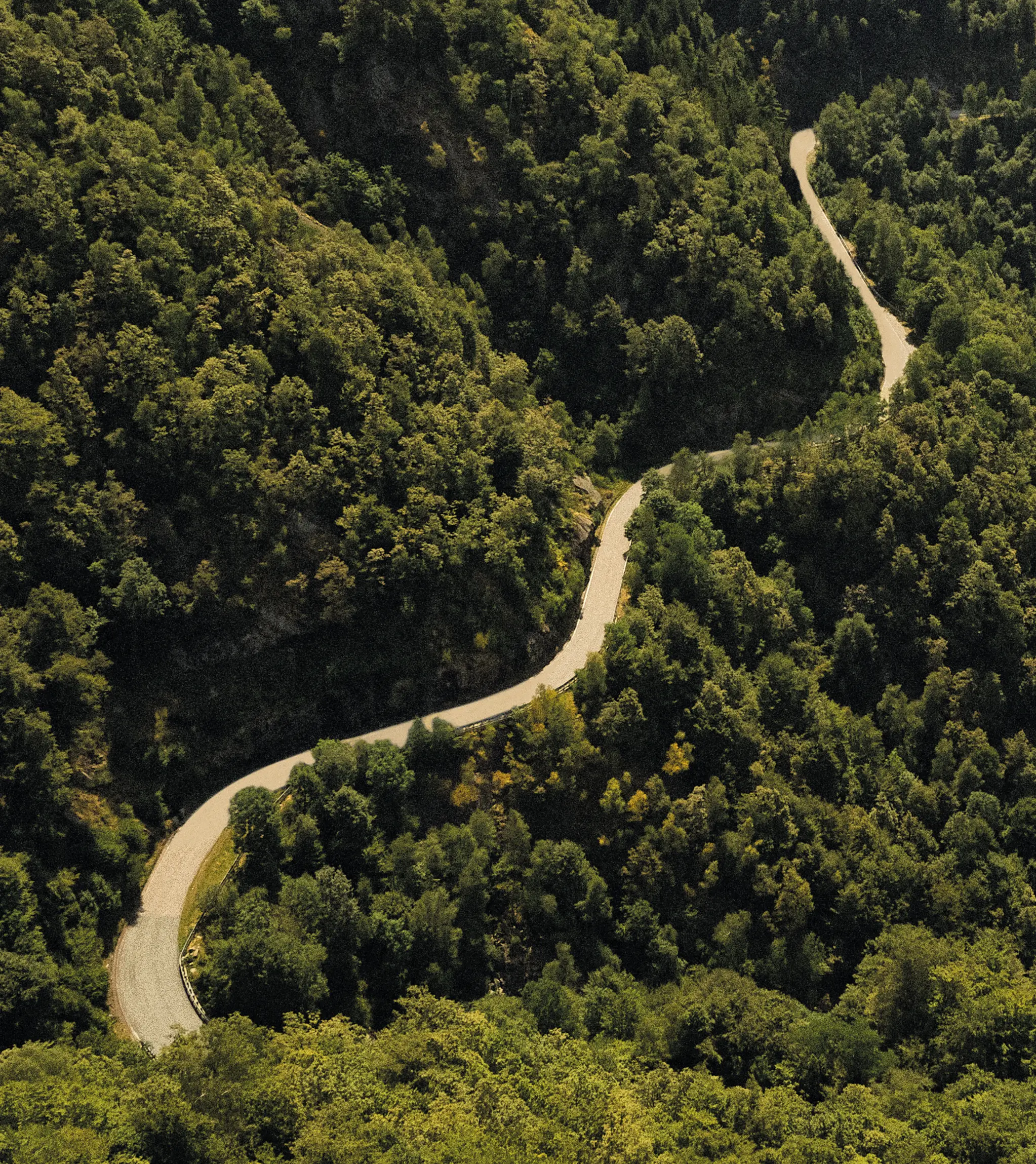 Vista dall’alto del paesaggio naturale dell’Oasi Zegna.