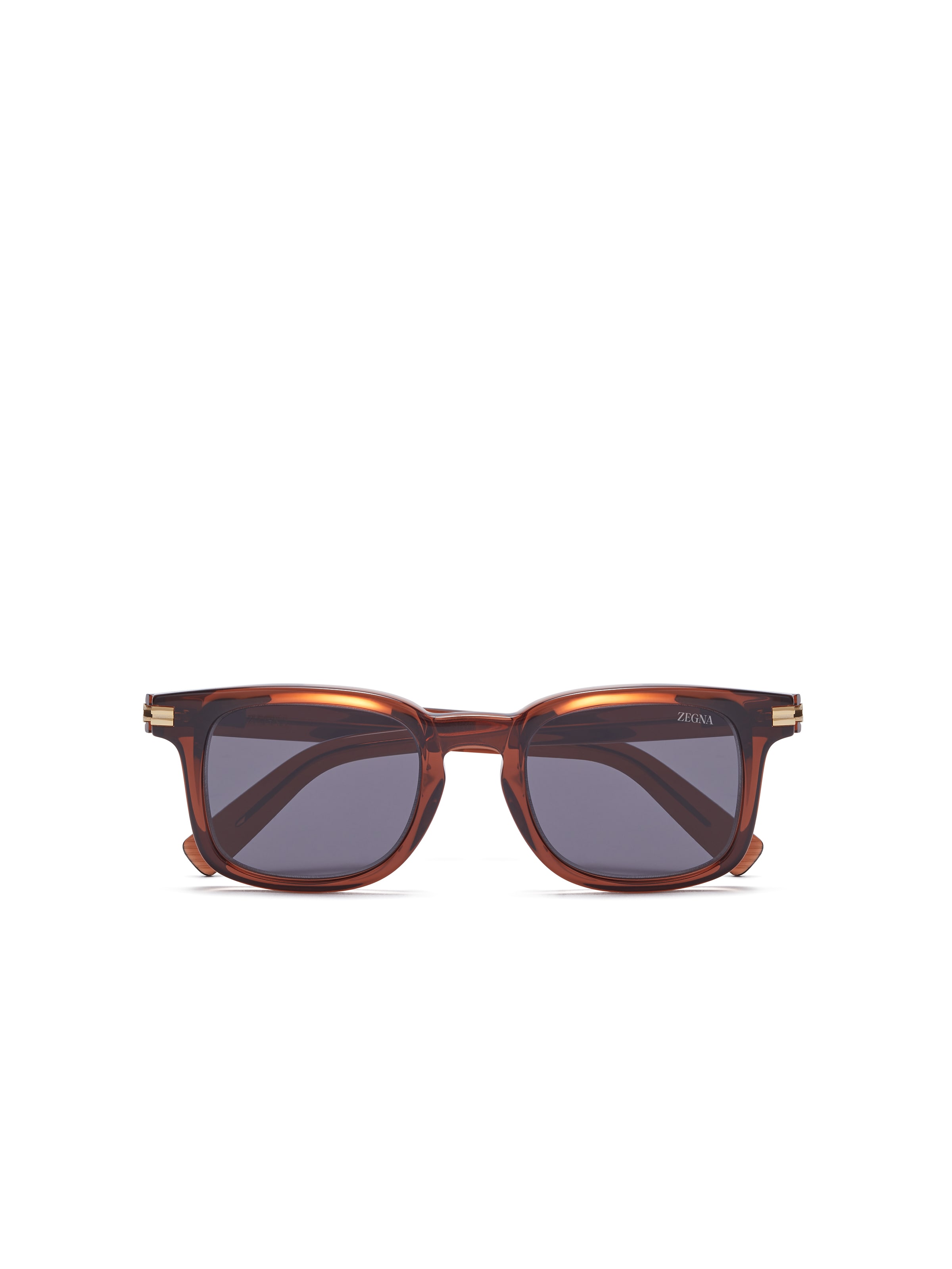 Zegna Transparent Brown Acetate Sunglasses